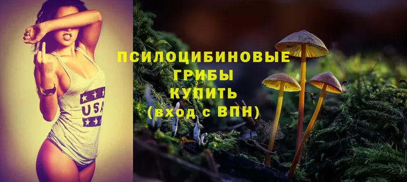 Галлюциногенные грибы Magic Shrooms  купить   Заринск 